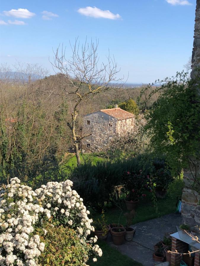 Dolce Vita In Tuscany Cottage Capannori Exterior foto