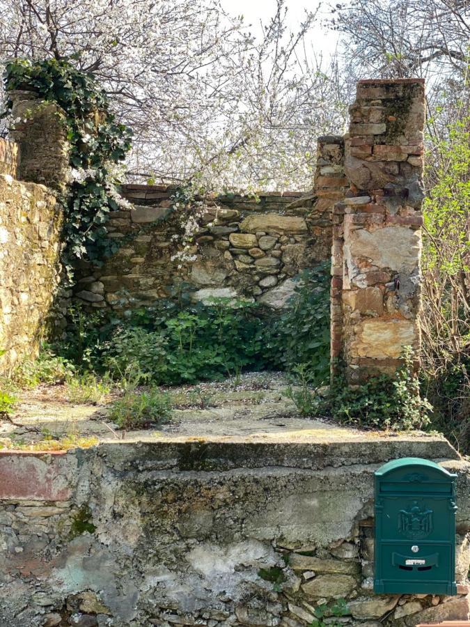 Dolce Vita In Tuscany Cottage Capannori Exterior foto